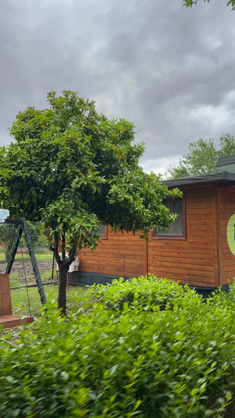 Bahçe ve tesis – Likya Yanartaş Bungalows